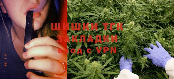шишки Аркадак
