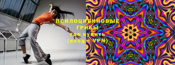 шишки Аркадак