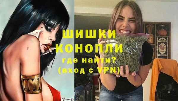 шишки Аркадак