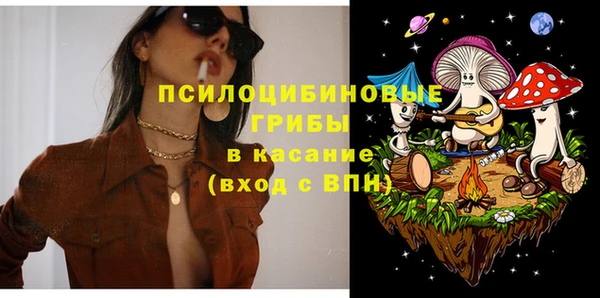дмт Арсеньев
