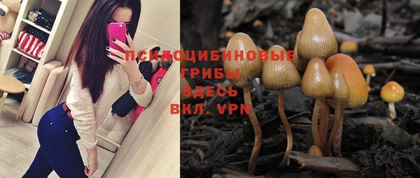 шишки Аркадак