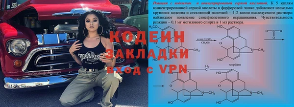 шишки Аркадак