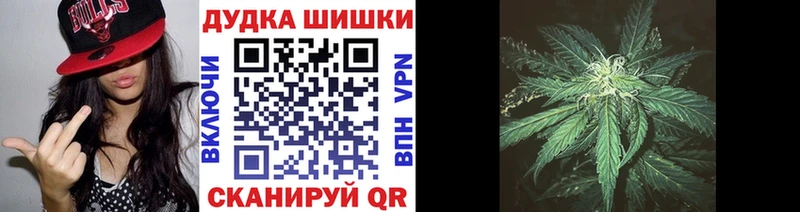 omg Бакал Каннабис семена